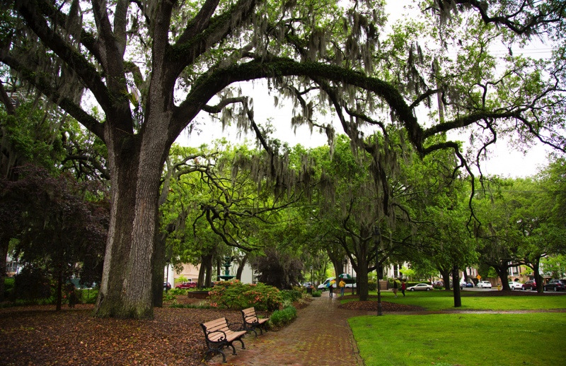 Assisted-living-options-in-georgia