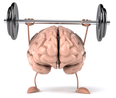brain fitness tools