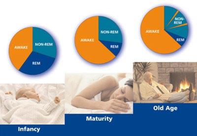 normalsleep_r.jpg normalsleep_r.jpg